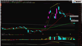 小白怎么选股(小白怎么选股票账号)