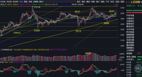 跟股票相关的工作(在股票工作有发展前景吗)