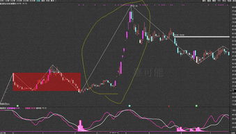 炒股小白如何入门(炒股小白怎么入门)