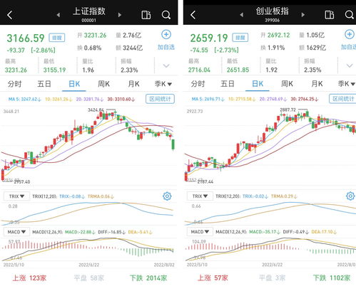 a股3点到三点半的交易是什么(股市三点到三点半是什么时间)