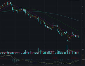 新东方股票怎么买(新东方股票怎么买?)