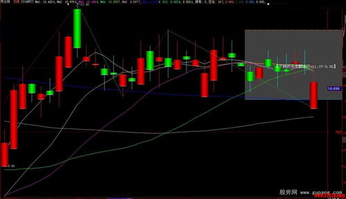 怎样买股票入门视频(怎么买股票视频讲解)