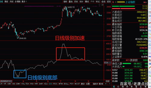 卖了股票多久可以把钱转出(卖了股票多久可以把钱转出来)