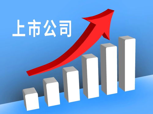 投资公司靠什么赚钱的(本人有资金寻求合作)