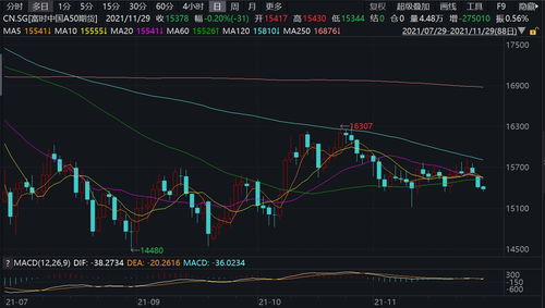 2023年股票行情怎么样(2023年股市牛市)