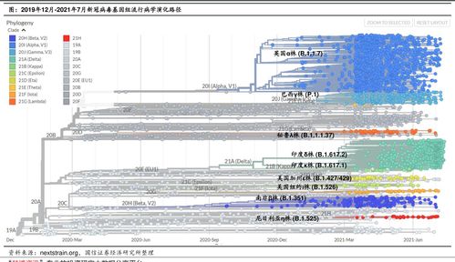 中信证券手机开户佣金(中信证券手机开户佣金是多少)