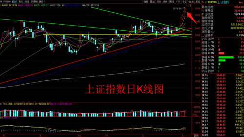 股票连跌12天预示着什么(股票连跌12天预示着什么呢)
