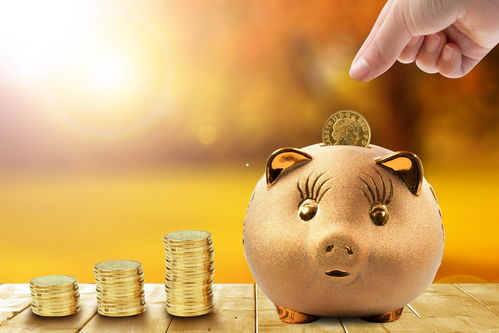 有100万是买房好还是理财好(100万现金买房好还是理财产品好)