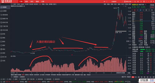 筹码为王指标源码(筹码王指标怎么用)