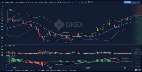 炒股是一场修行越早明白越好(炒股就是悟道)