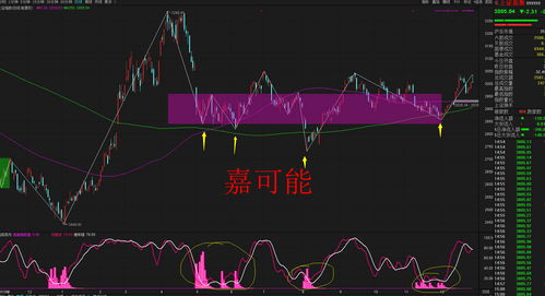 股票D线长什么样(股票中的d线是什么意思)