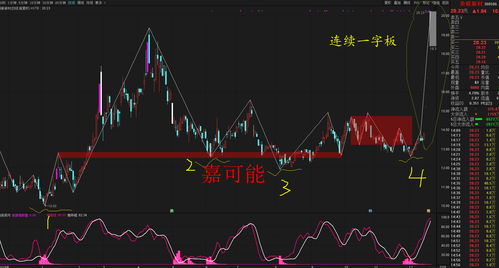 2011年十大牛股十大妖股(2011年大牛股有哪些)