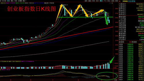 hk股票怎么买(hk股票可以买吗)