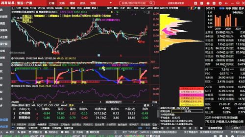 怎么炒股票新手入门(炒股入门应该怎么开户)
