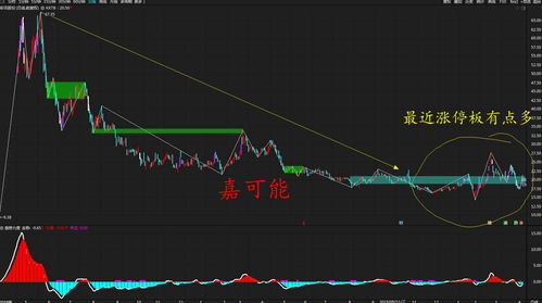 什么是a股股票(什么是a股股票基金)