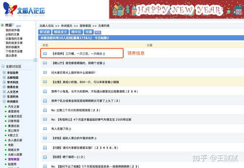 网上投资平台哪个比较可靠(最好网上投资)