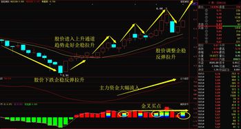 5元以下优质龙头股票(5元以下优质龙头股票有哪些)