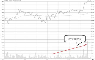 适合炒股的人有哪些特点(适合炒股的人有哪些特点和缺点)
