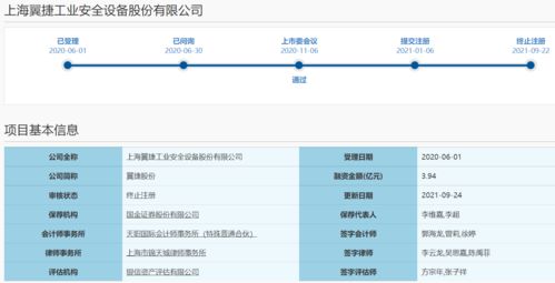 IPO已提交注册是什么阶段(提交了ipo)