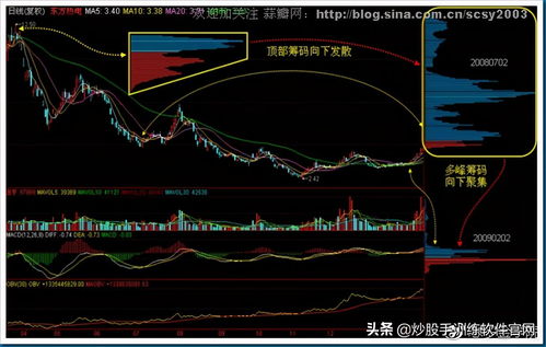 股票600和000开头区别(300 600 000开头股票)