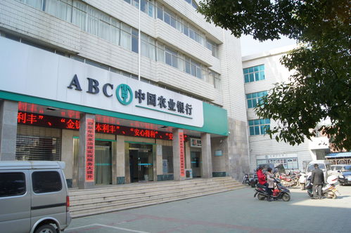 买了40万股农业银行(买十万股农业银行)