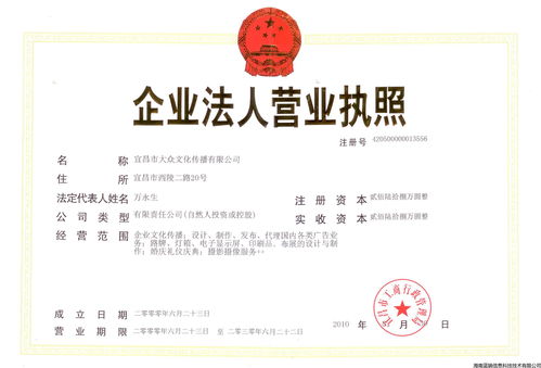 怎样开公司注册公司(怎样开公司注册公司流程)