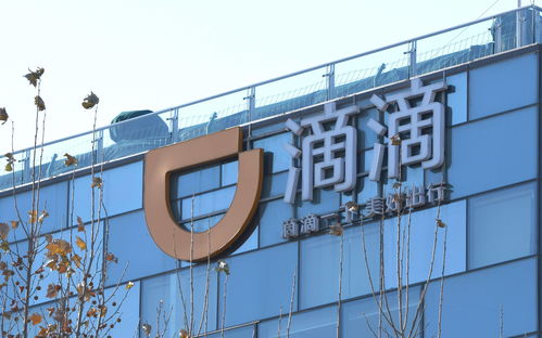 小而美股票代码(小而美股票代码是什么)