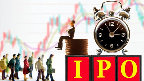 今天证监会最新ipo公告(今天证监会最新ipo公告图片)