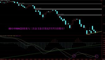 稳定增长的股票(稳定增长的股票的市价)