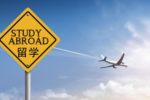 为什么交易员学历都不高(期货开户最低多少钱)