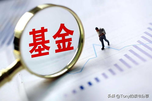 关于投资的知识(投资的相关知识)