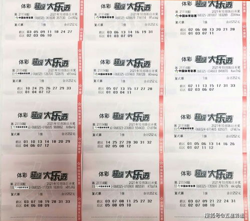 大乐透20元胆拖玩法(大乐透2胆拖30多少钱)