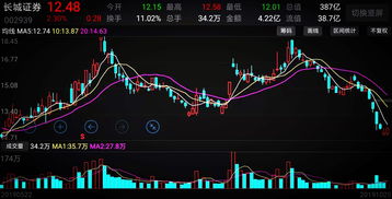 以下不可以投资二级市场的股票(以下不可以投资二级市场的股票的基金类型有)