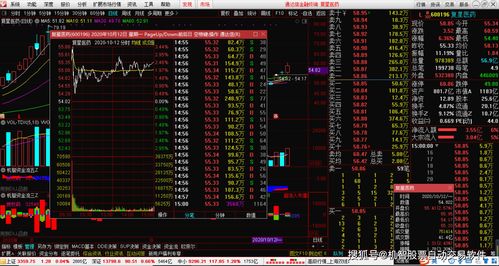 主力资金流出说明什么(主力资金流出流入是真的吗)