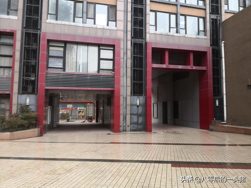 小区门口闷声发财的十个生意(2023最佳创业商机)