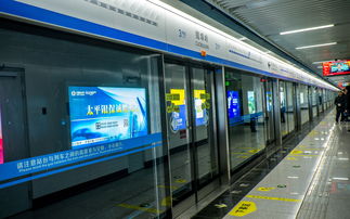 不允许建地铁的城市(不允许建地铁的城市13个)