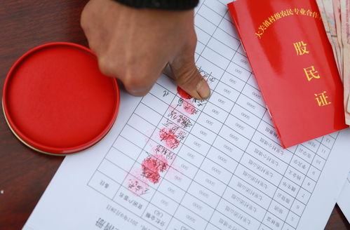 入股一万元第一次分红能分多少(一万元入股每年分1500)