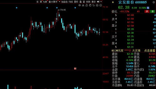 个人资产多少比例炒股(个人股票资产配置比例)