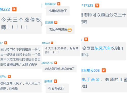 高手炒股最真实的经历(高手炒股经验)