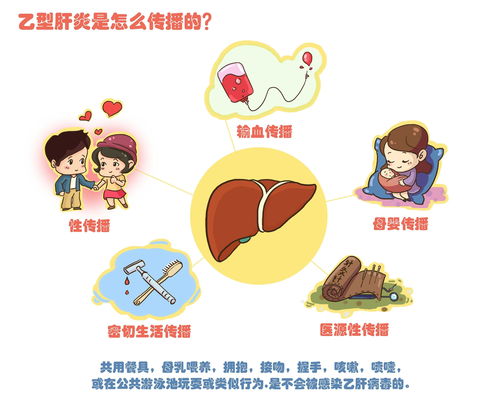 一起吃饭会传染肝病吗(小三阳会不会传染给别人)