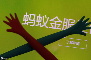 投资入股需要注意什么(投资入股须知)