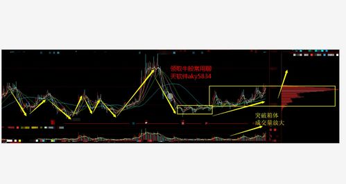 目前被严重低估的股票2023年(目前被严重低估的股票2023年会涨吗)