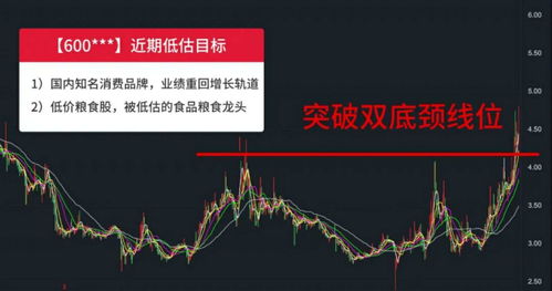 消费股票的十大龙头股排名(消费类股票龙头股票有哪些)