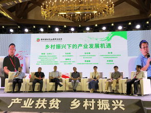 成立一家投资公司需要多少钱(投资公司靠什么赚钱的)