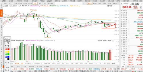 今天北向资金今日流入(今日北向资金流入个股排行)