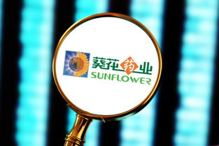a股连续亏损几年会退市(连续几年亏损会被提示退市风险)