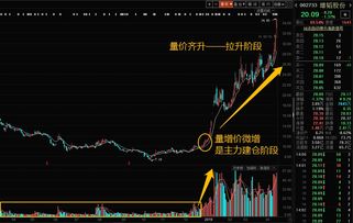 咋炒股票(炒股票怎么炒)
