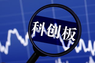 上交所是a股吗(上交所是上市公司吗)