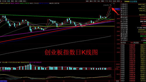 股票连跌5天会涨吗(股票连跌五天是什么情况?)