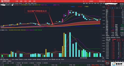炒股复利增长图(股票复利公式惊人)